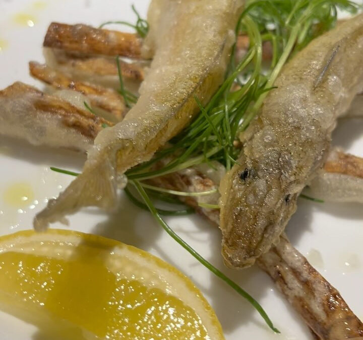 【#バルイーロMENU 】