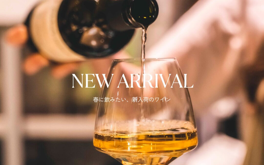【LIMITED SERIES】